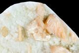 Peach Stilbite Crystals on Quartz - India #153196-4